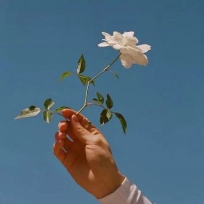 今期澳门三肖三码开一码app下载